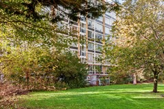 Louis Davidsstraat_331_20251027_10.jpg